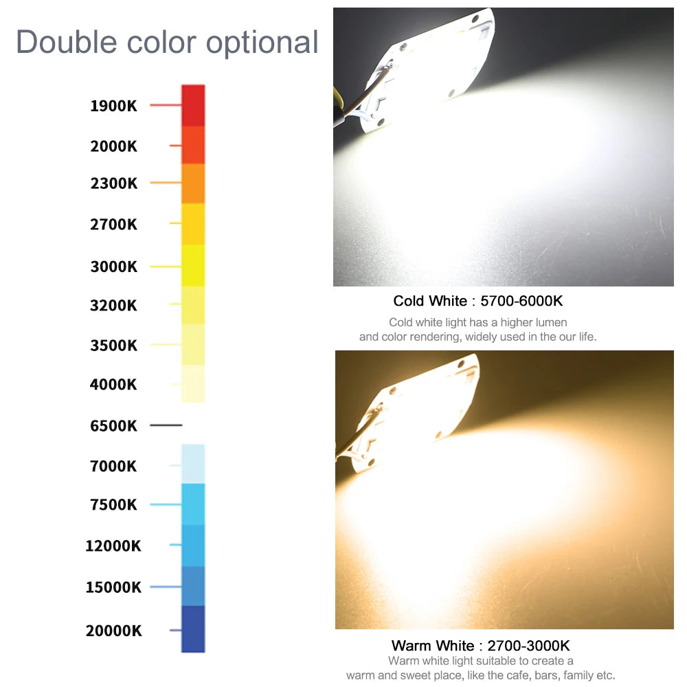 COB Chip LED Lamp 220V 10W 20W 30W 50W Smart IC No Need Driver Lampada