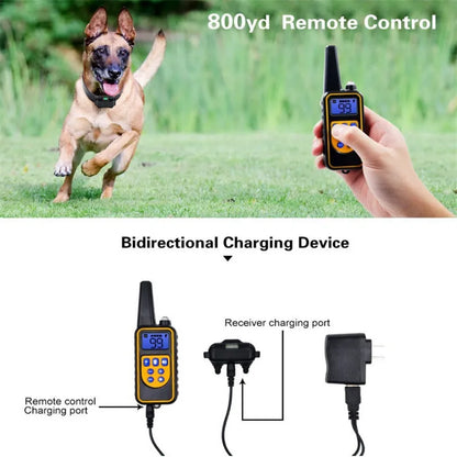 800m Dog Training Collar Waterproof Pet Remote Control Rechargeable