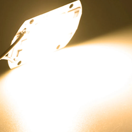 COB Chip LED Lamp 220V 10W 20W 30W 50W Smart IC No Need Driver Lampada