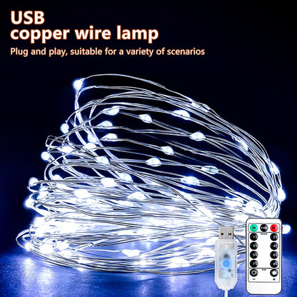 5M/10M/20M USB LED String Lights Copper Silver Wire Garland Light