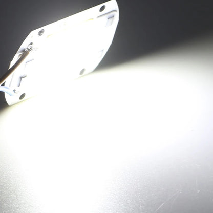 COB Chip LED Lamp 220V 10W 20W 30W 50W Smart IC No Need Driver Lampada